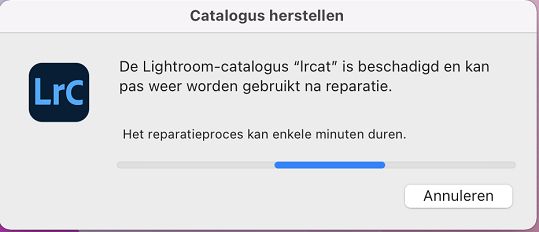 Catalogus herstellen