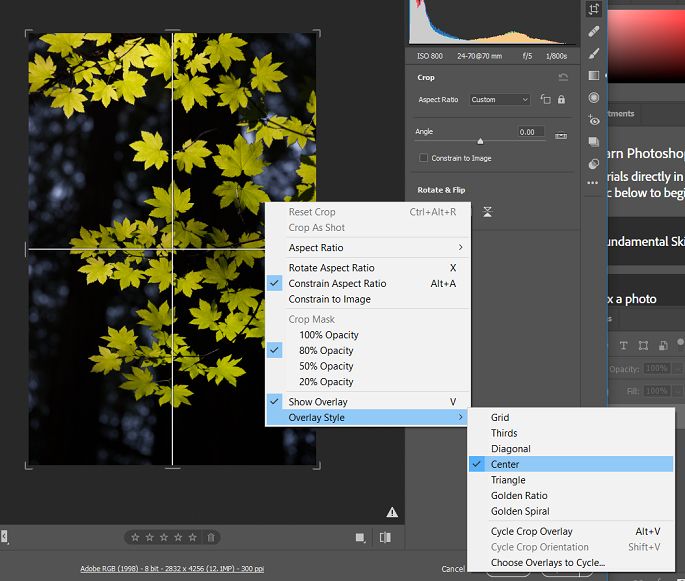 Use the Centre crop overlay to find the exact centre of your photo.