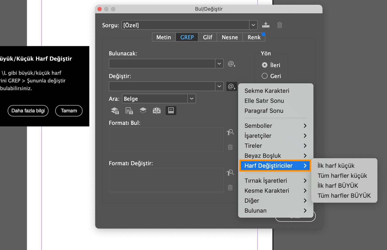 GREP sekmesinin açık olduğu ve Harf Değiştiriciler'in vurgulandığı Bul/Değiştir panelinin ekran görüntüsü.