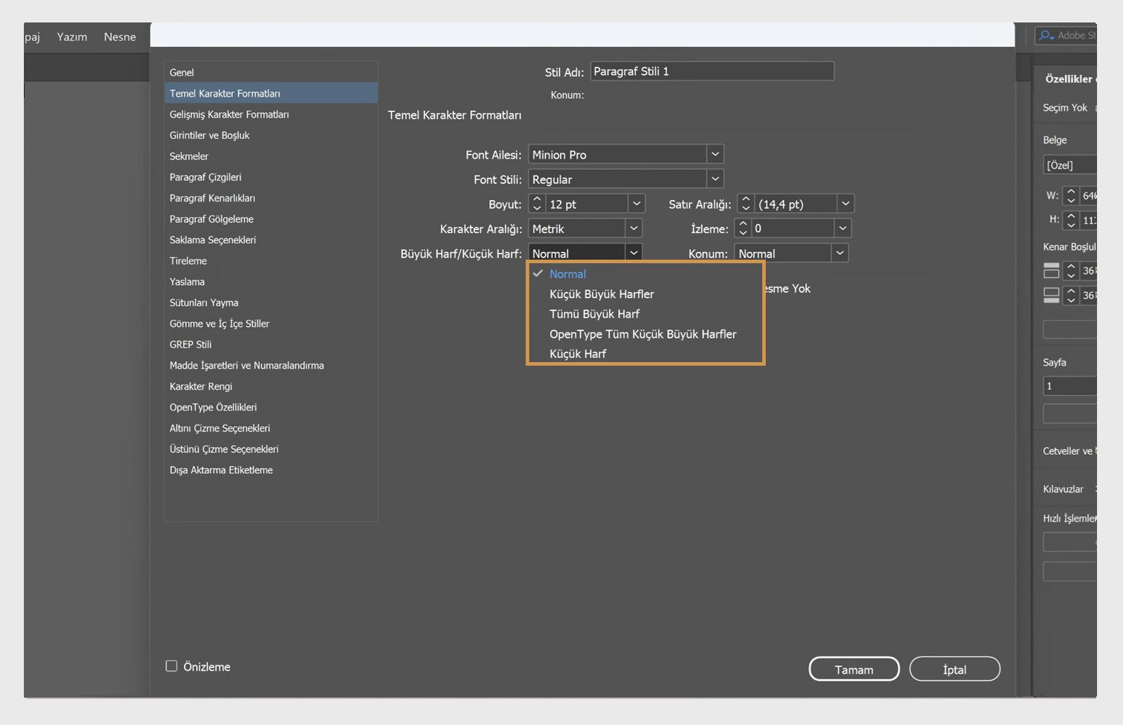 Büyük/küçük harf açılır menüsünün vurgulandığı Paragraf Stili seçenekleri panelinin ekran görüntüsü.