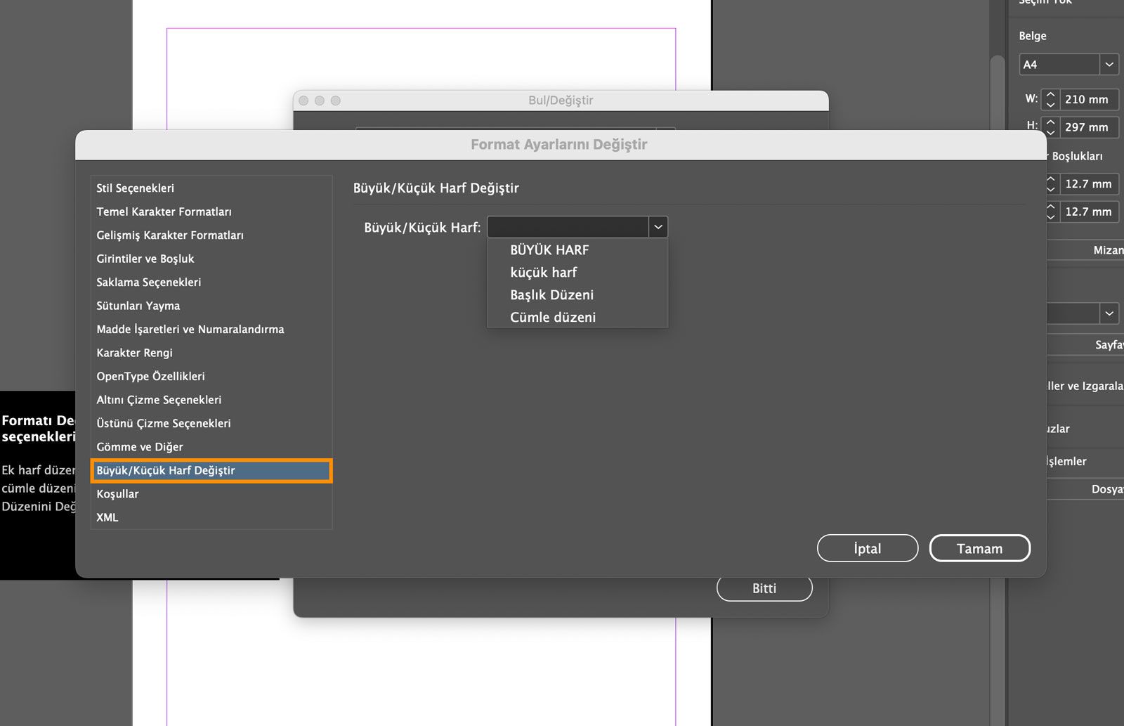 Büyük/Küçük Harf Değiştir sekmesinin vurgulandığı Format Değiştir Ayarları panelinin ekran görüntüsü.