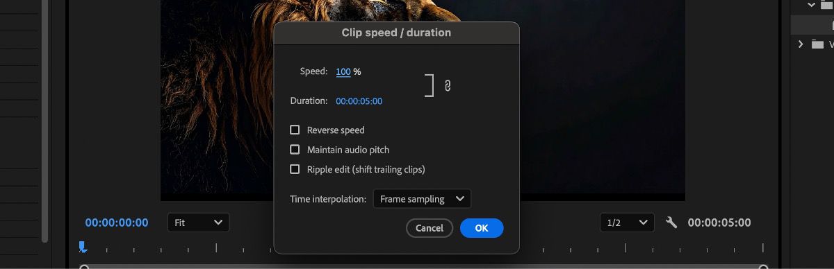 El cuadro de diálogo Velocidad/duración del clip muestra opciones para aumentar o disminuir la velocidad y duración del clip.
