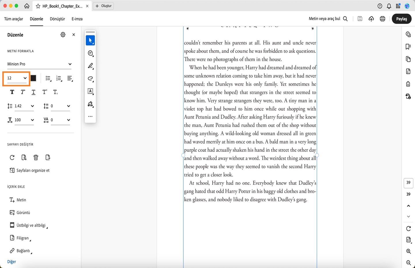 Acrobat Masaüstü'nde font boyutu açılır menüsü vurgulanmış