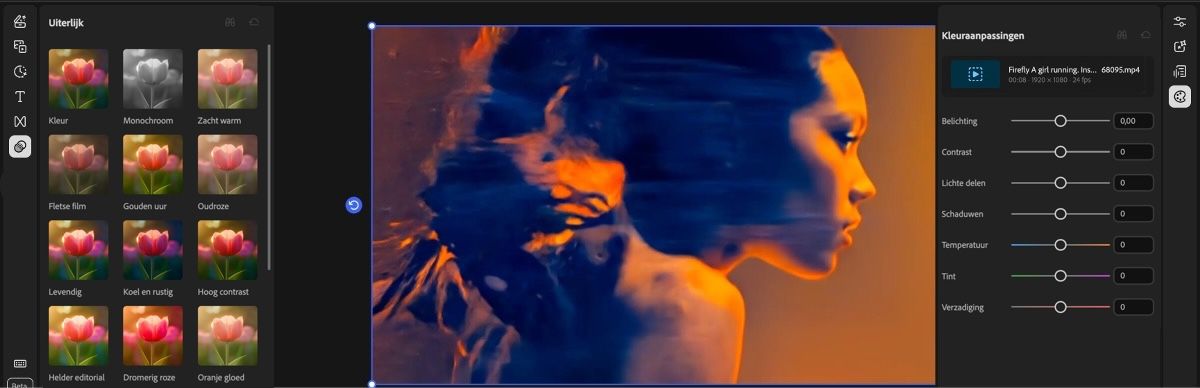 De video-editor toont de Looks-voorinstellingen aan de linkerkant en de Kleuraanpassingen-schuifregelaars aan de rechterkant met een videovoorvertoning in het midden.
