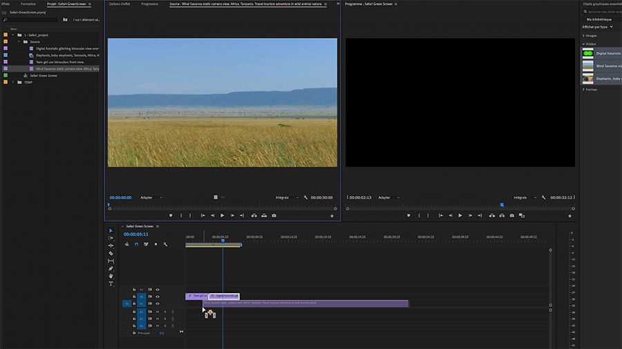 Dans une capture d'écran d'Adobe Premiere Pro sur ordinateur, déplacement d'une vidéo de savane africaine Adobe Stock sur la piste V1 de la fenêtre de montage