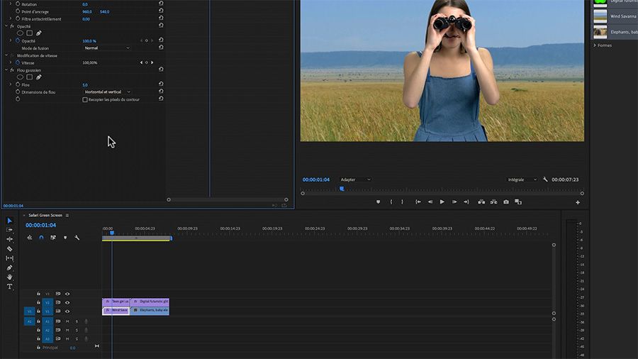 Dans une capture d'écran d'Adobe Premiere Pro sur ordinateur, ajustement de l'effet Flou gaussien dans la fenêtre Options d'effet, et image composite d'une jeune femme observant la savane avec des jumelles dans le Moniteur du programme