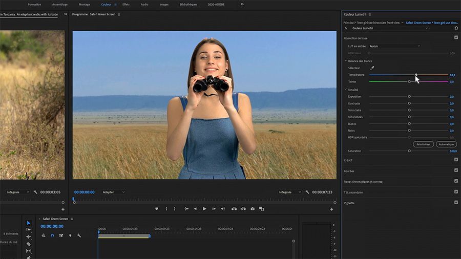 Dans une capture d'écran d'Adobe Premiere Pro sur ordinateur, utilisation des commandes du panneau Couleur Lumetri pour régler la balance des blancs et la température, et image composite d'une jeune femme observant la savane avec des jumelles dans le Moniteur du programme