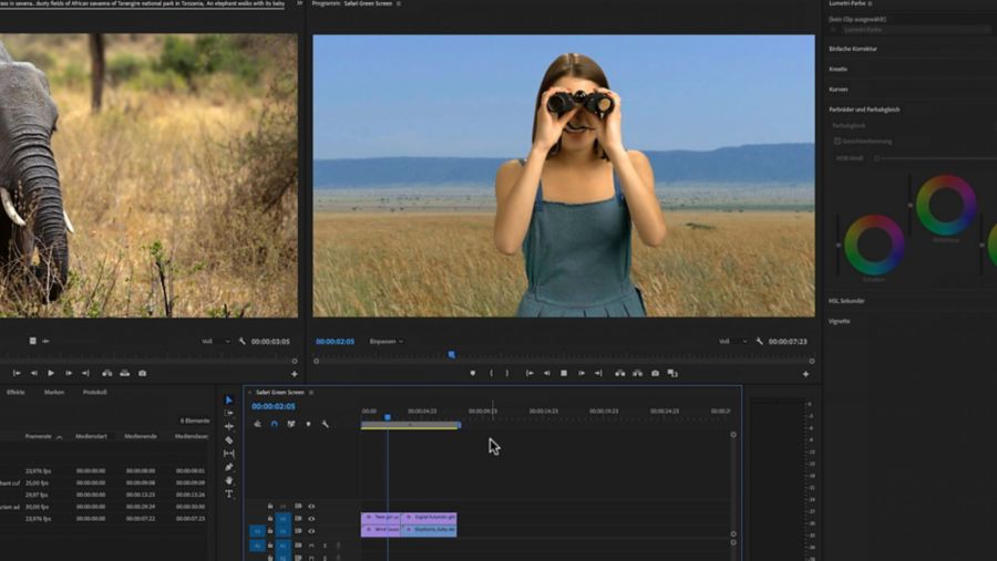 Premiere Pro. Frau in afrikanischer Savanne blickt durch Fernglas. Wiedergabemonitor: Adobe Stock-Clip eines Elefanten.