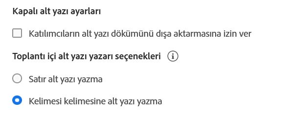 Kapalı alt yazı ayarları