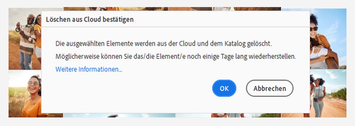 Lösche ganz einfach die gewünschten Medienelemente aus der Cloud und dem Katalog. 