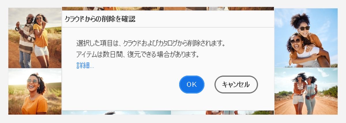 クラウドとカタログから目的のメディアアイテムを簡単に削除できます。 
