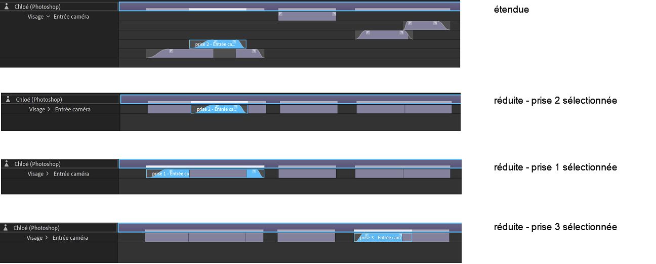 Vue réduite des prises