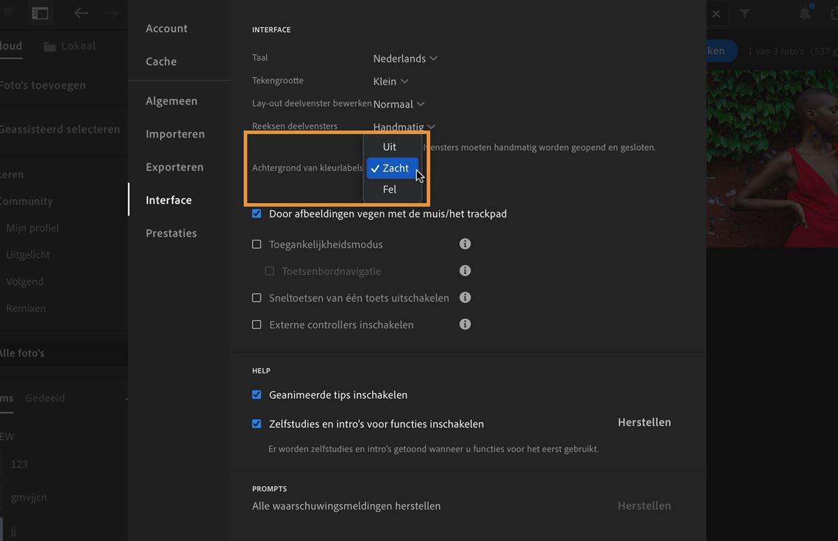 Het deelvenster Voorkeuren in Lightroom voor desktop is geopend. 