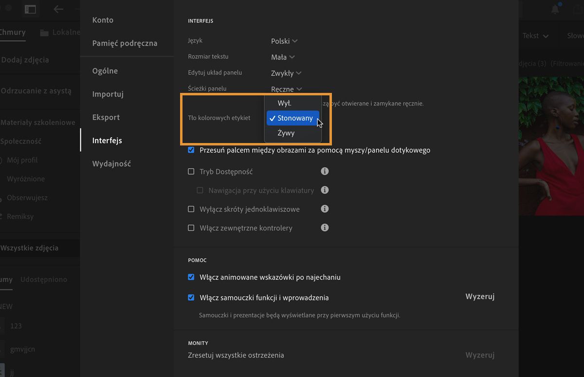 Panel Preferencje w programie Lightroom na komputerze jest otwarty. 