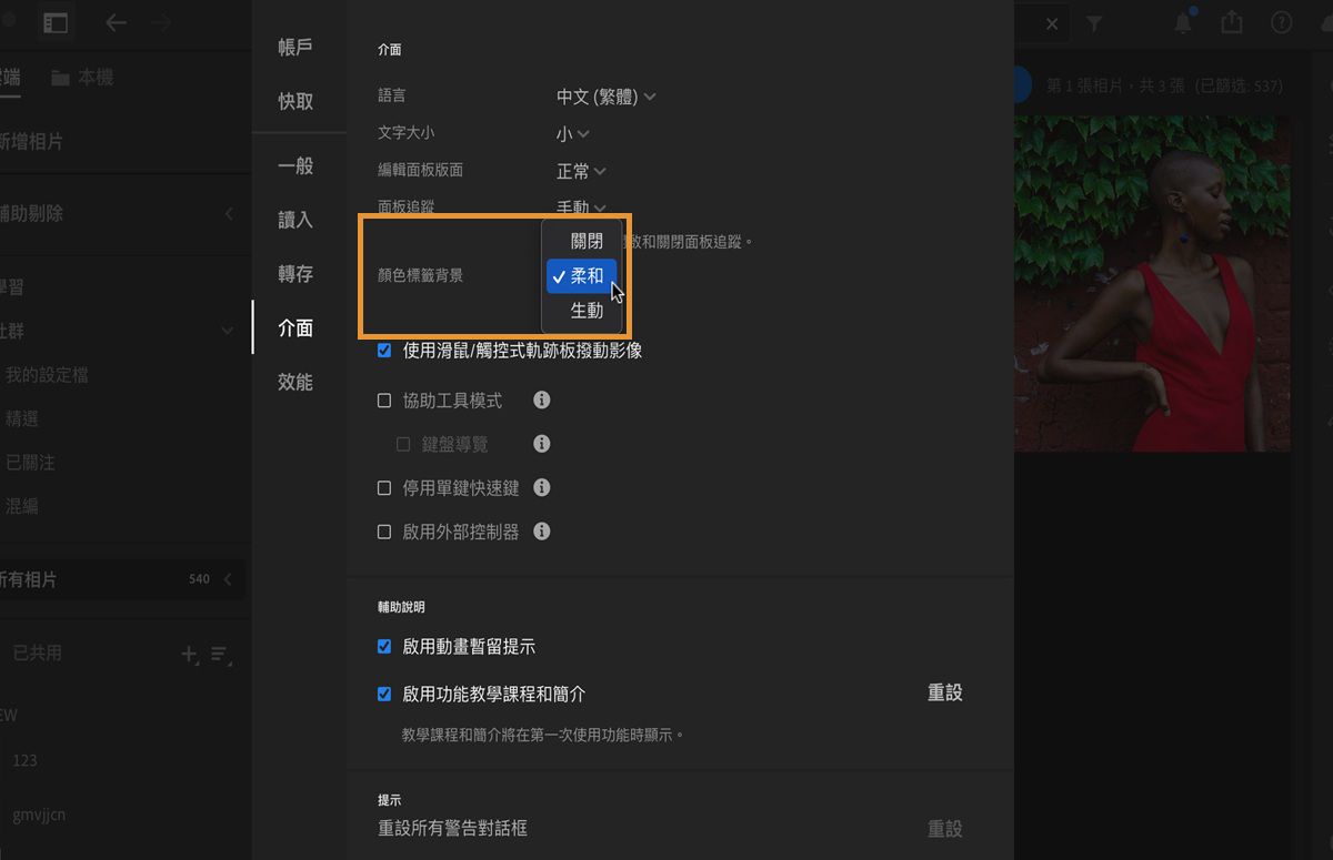 Lightroom 桌面版中的「偏好設定」面板已開啟。