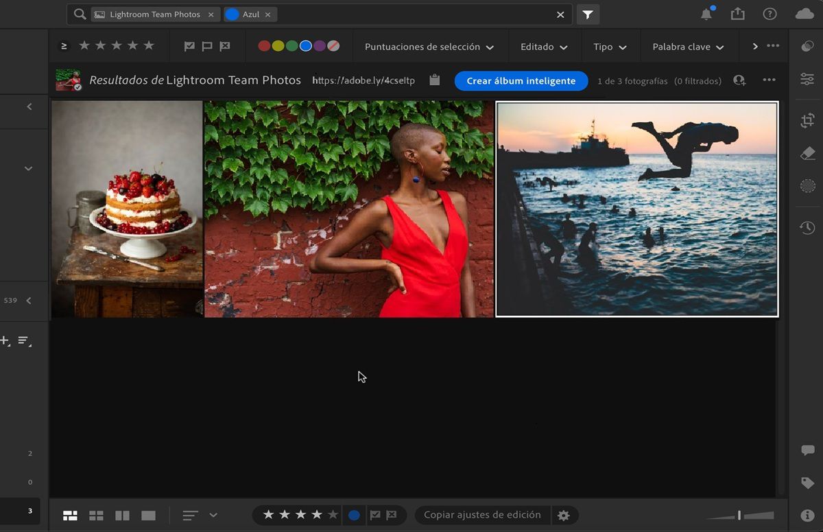 Un álbum abierto en Lightroom con la opción Refinar búsqueda activada.