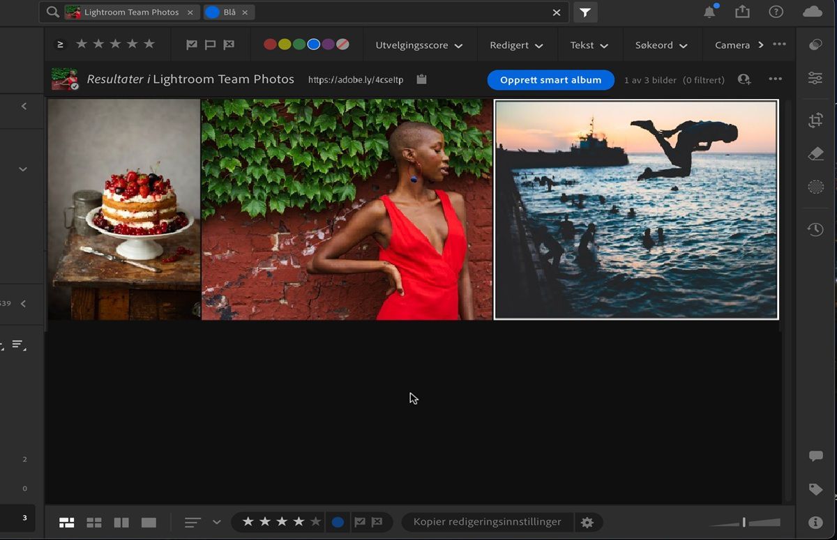 Et album åpent i Lightroom med alternativet Begrens søket aktivert. 