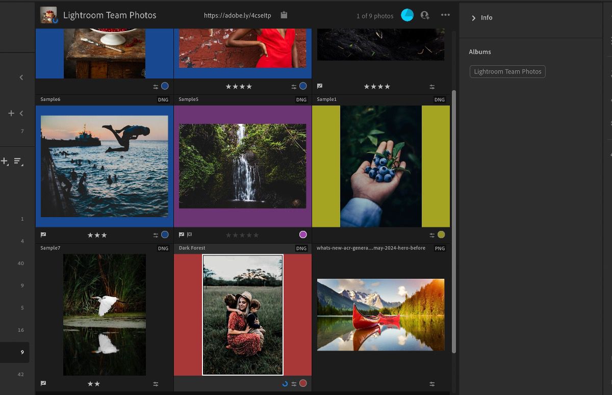 An album open in Lightroom with the Refine Search option enabled. 