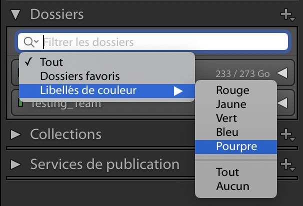 Filtrage des dossiers dotés d’un libellé de couleur dans le panneau Dossiers