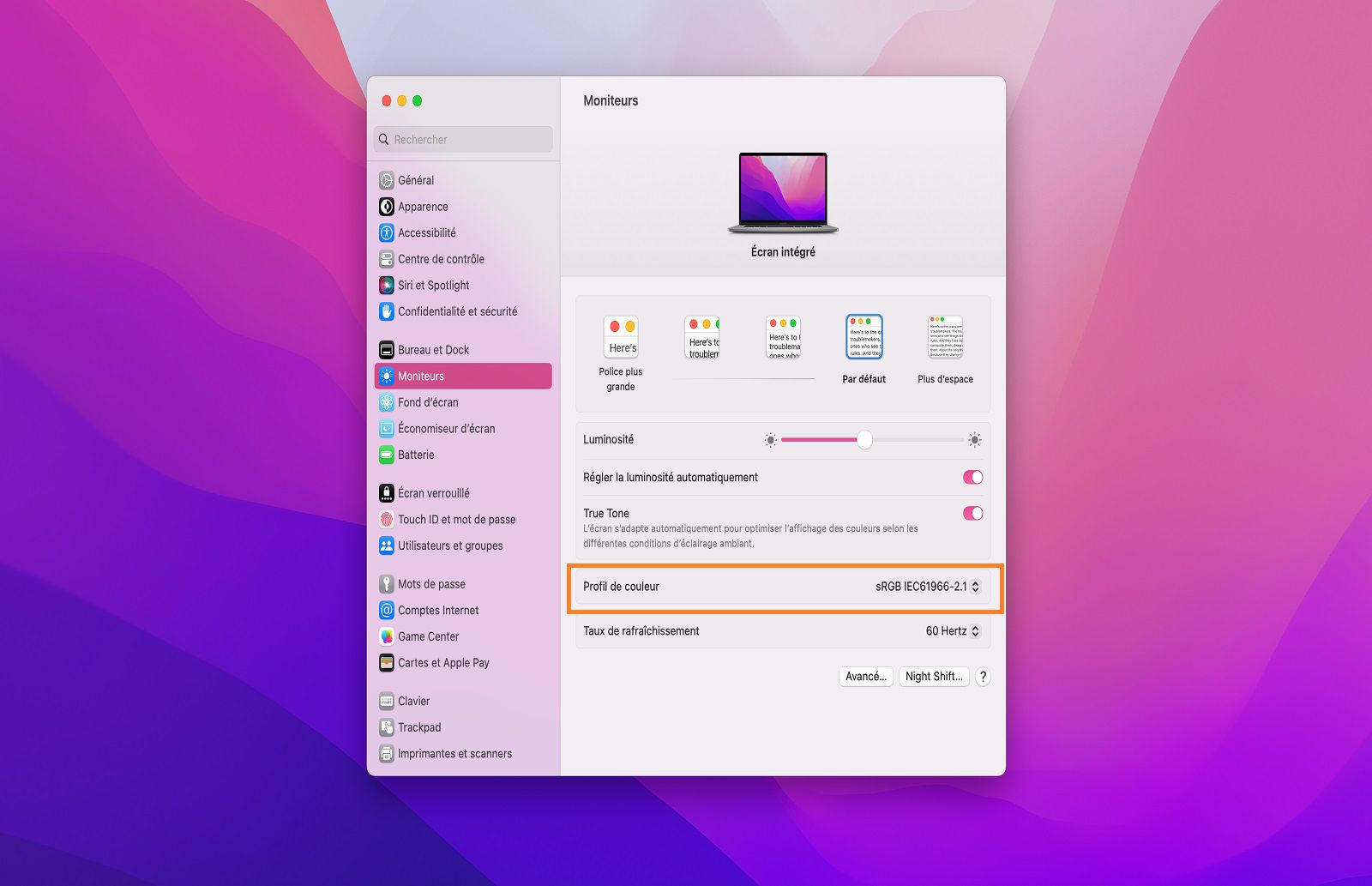 L’option sRGB IEC61966-2.1 est sélectionnée dans la liste déroulante Profil de couleur du panneau Moniteurs.