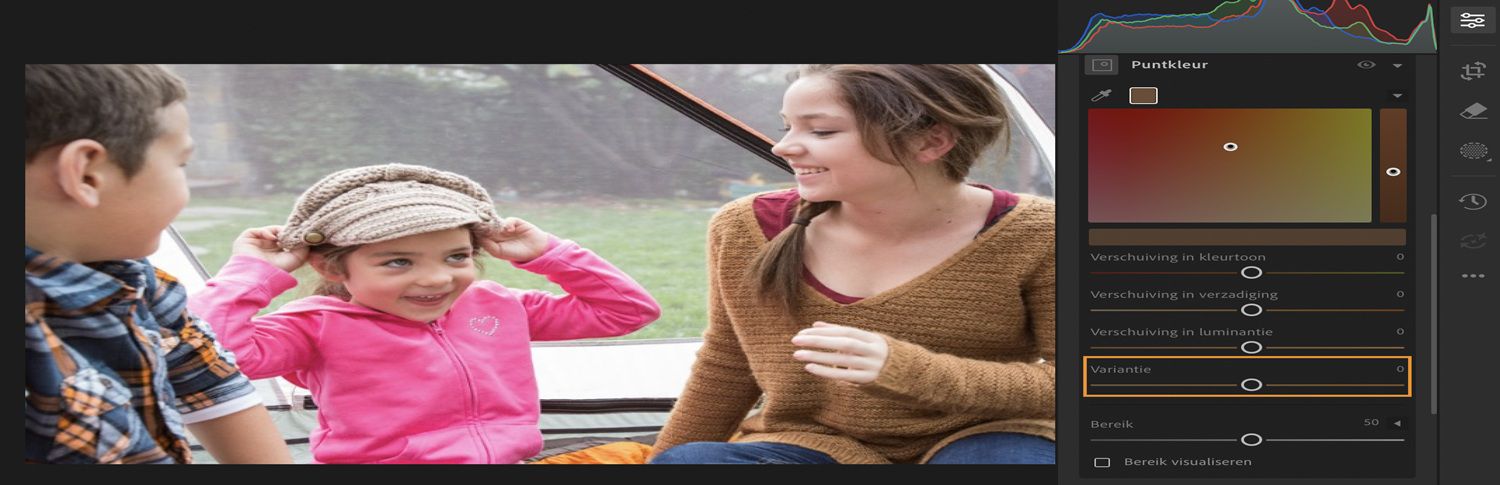 De schuifregelaar voor kleurvariantie is gemarkeerd in de instelling Puntkleur van het menu Bewerken.