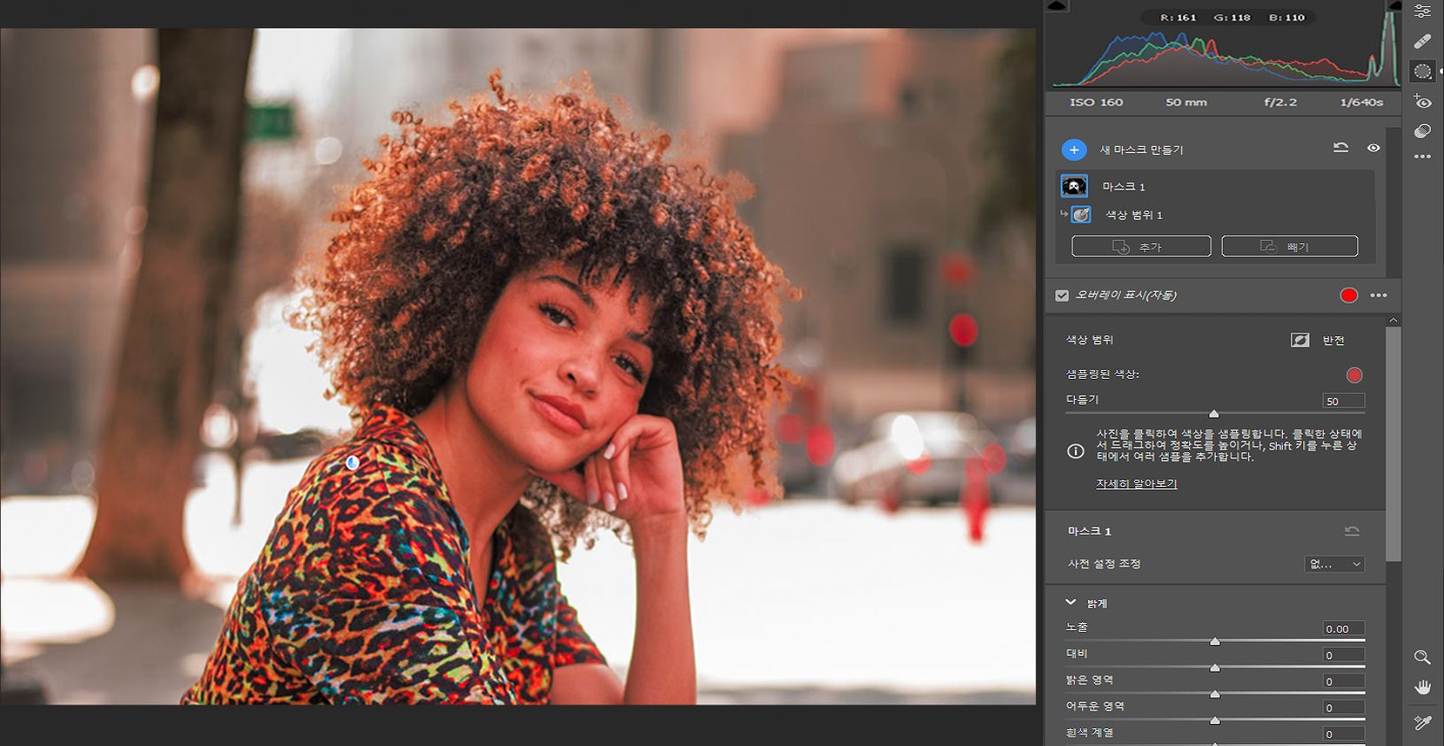마스킹의 색상 범위