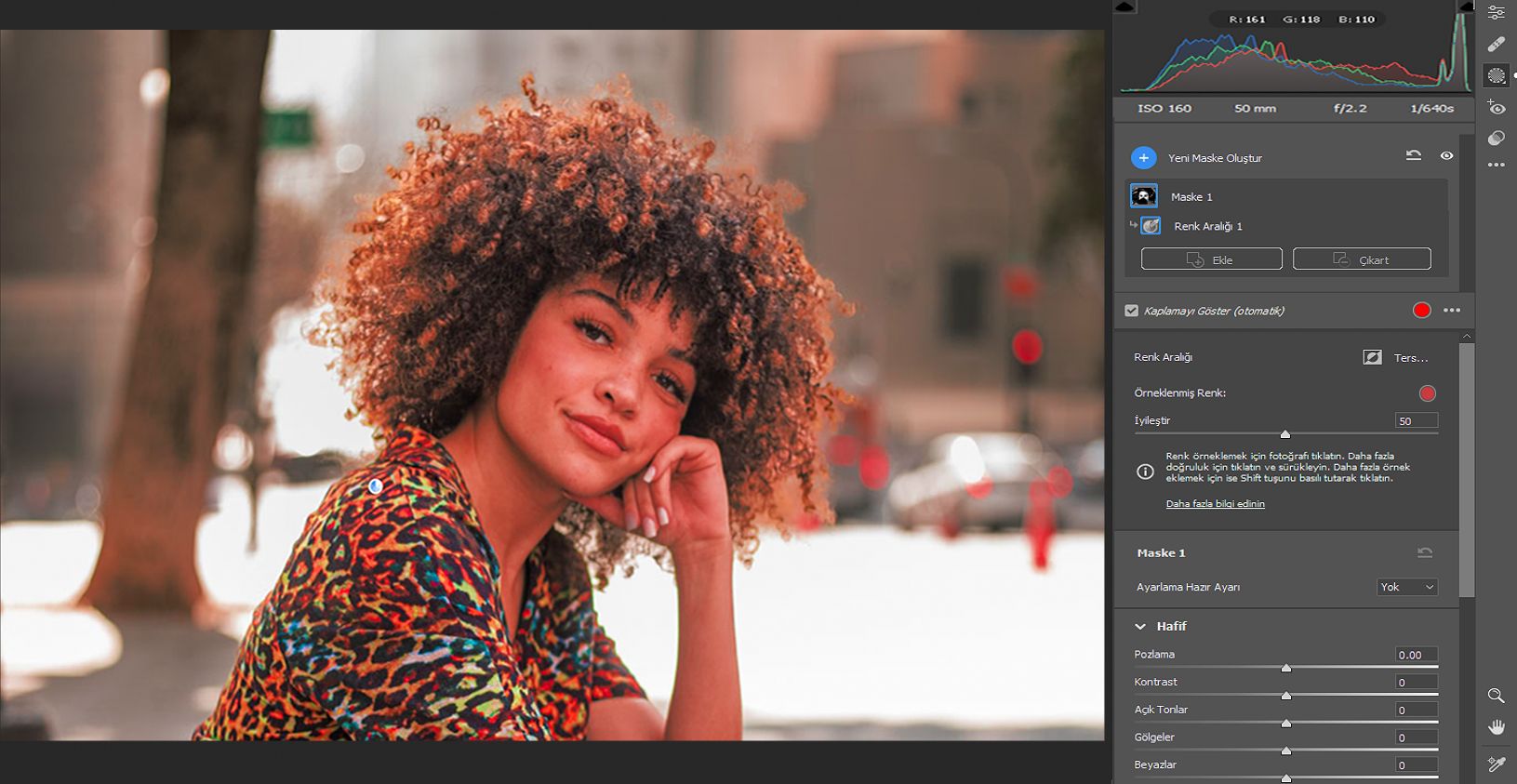 Maskelemede Renk Aralığı