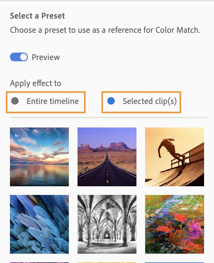 Select the desired preset to apply to your video.