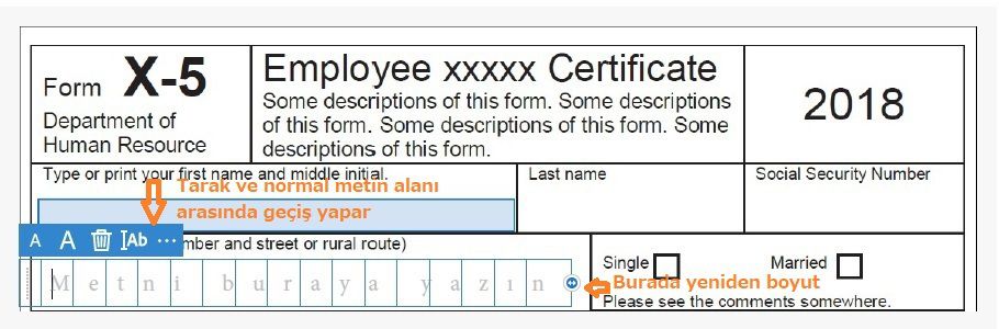 Kombinasyon alanı ve normal metin alanı