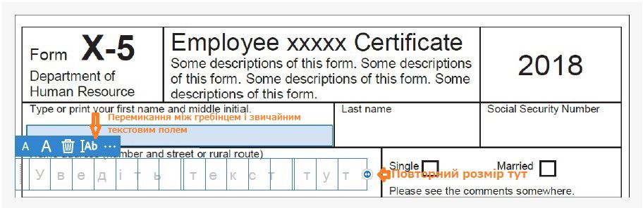 Розбиті на клітинки поля та звичайні текстові поля