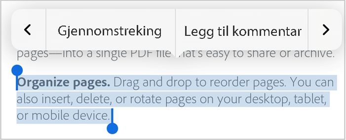 Legg kommentarer til valgt tekst