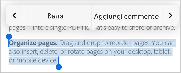 Aggiungere un commento al testo selezionato