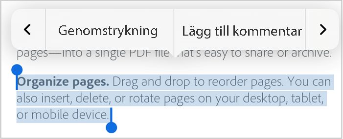 Lägg till kommentar till markerad text
