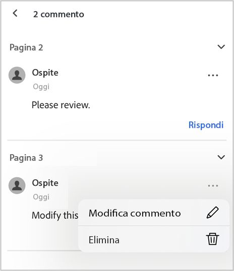 Usa il pannello Commenti per visualizzare, modificare o rispondere ai commenti.