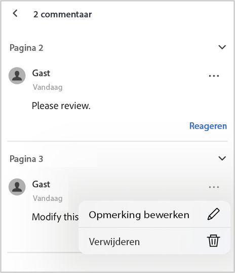 Met het deelvenster Opmerkingen kunt u opmerkingen weergeven, bewerken of erop reageren.