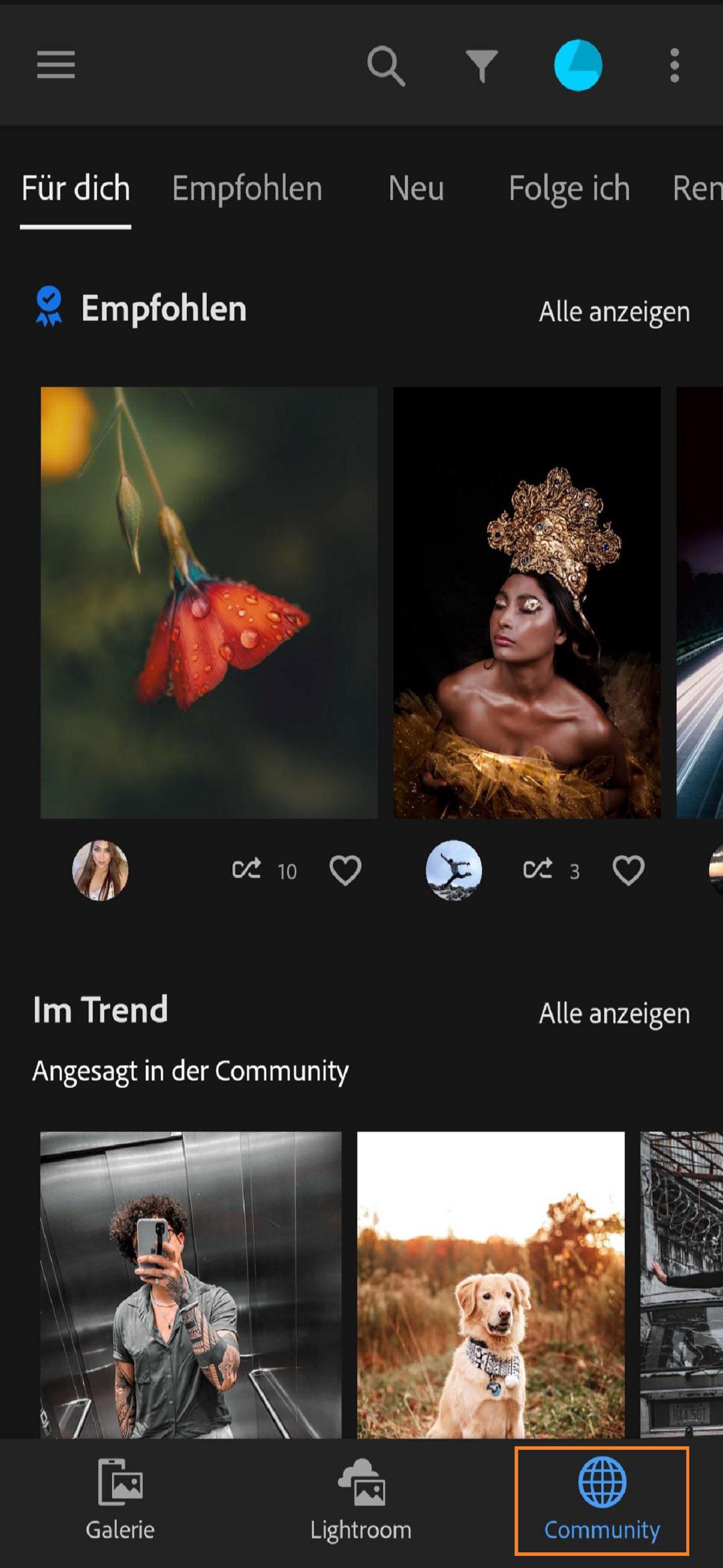 Auf der Registerkarte „Community“ in Lightroom kannst du deine Fotos in der Community teilen