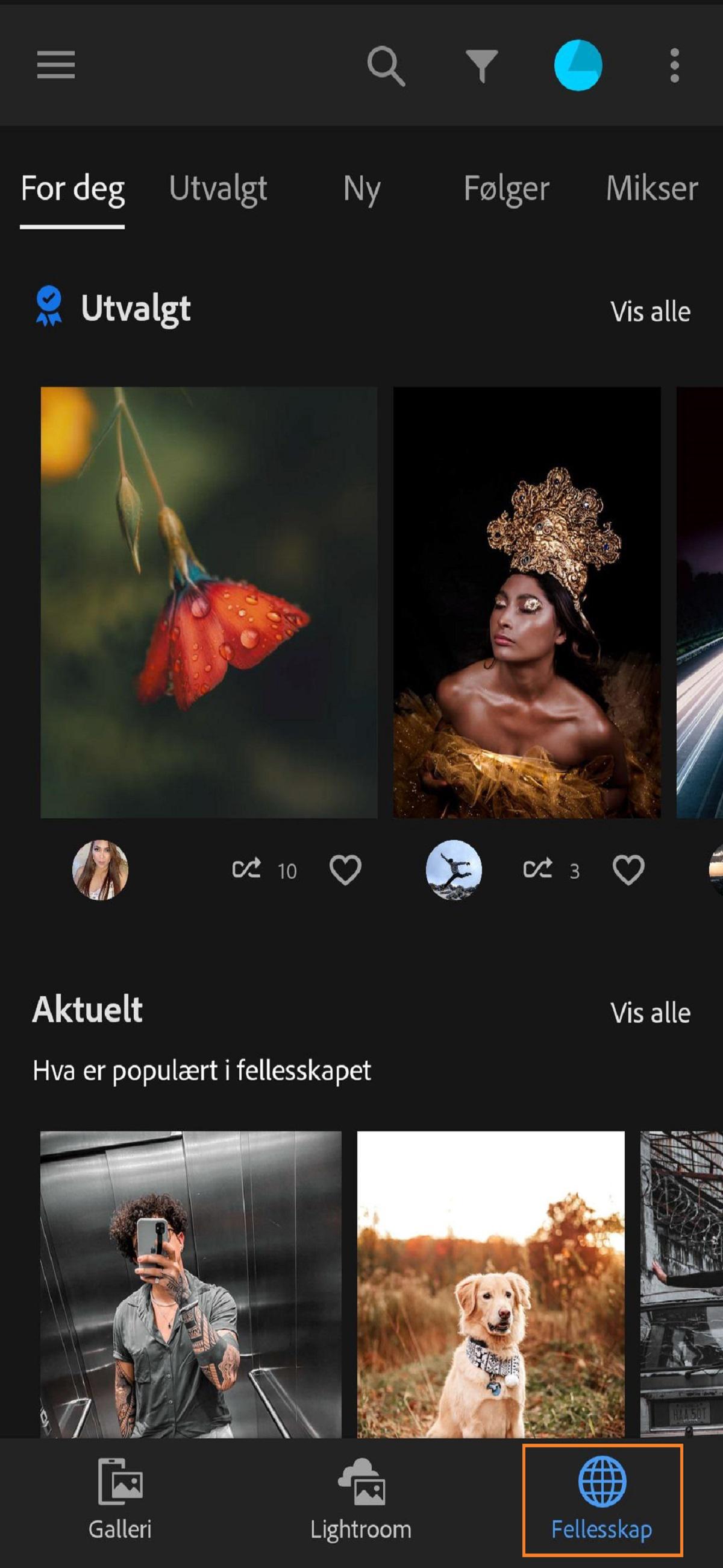 Med fanen Fellesskap i Lightroom kan du dele bildene dine i fellesskapet