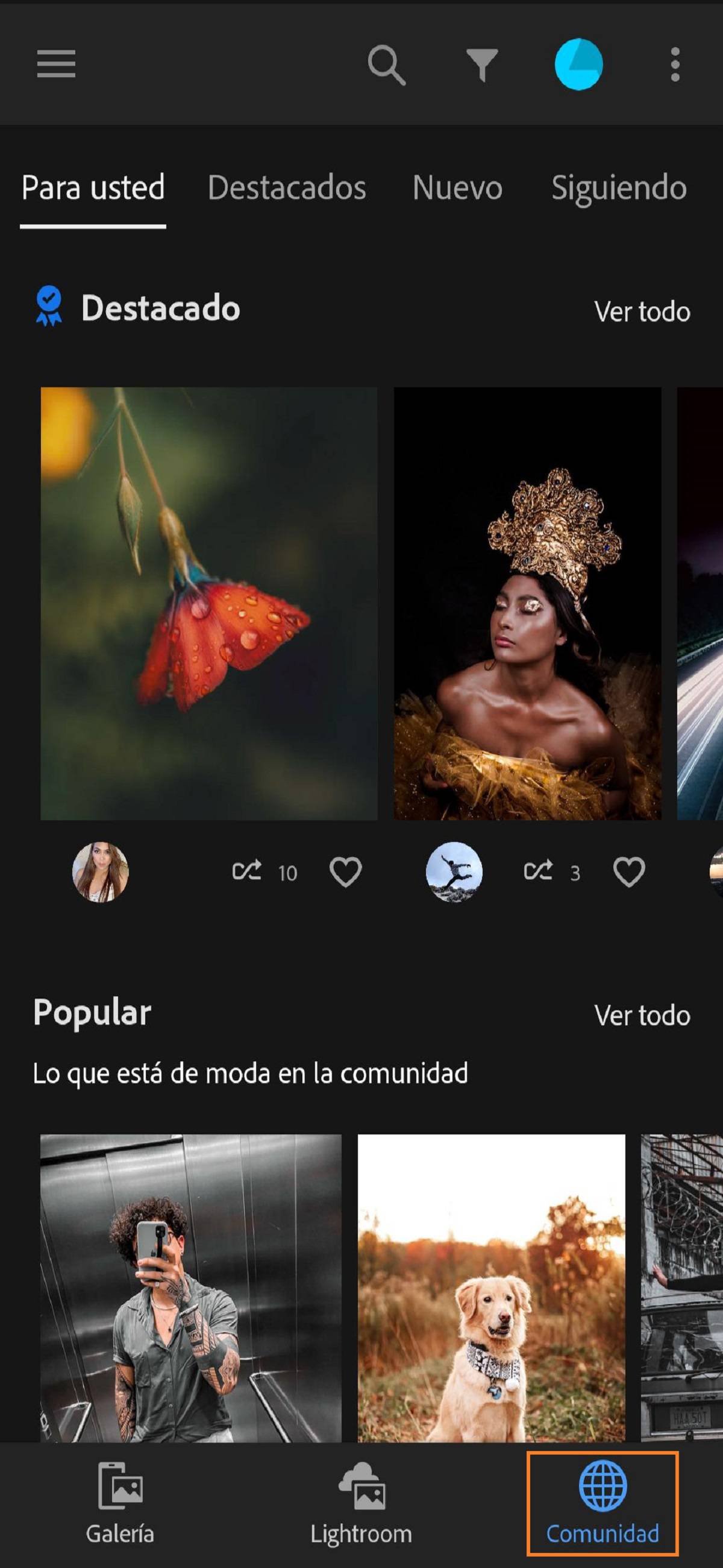 La pestaña Comunidad de Lightroom le permite compartir sus fotos en la comunidad
