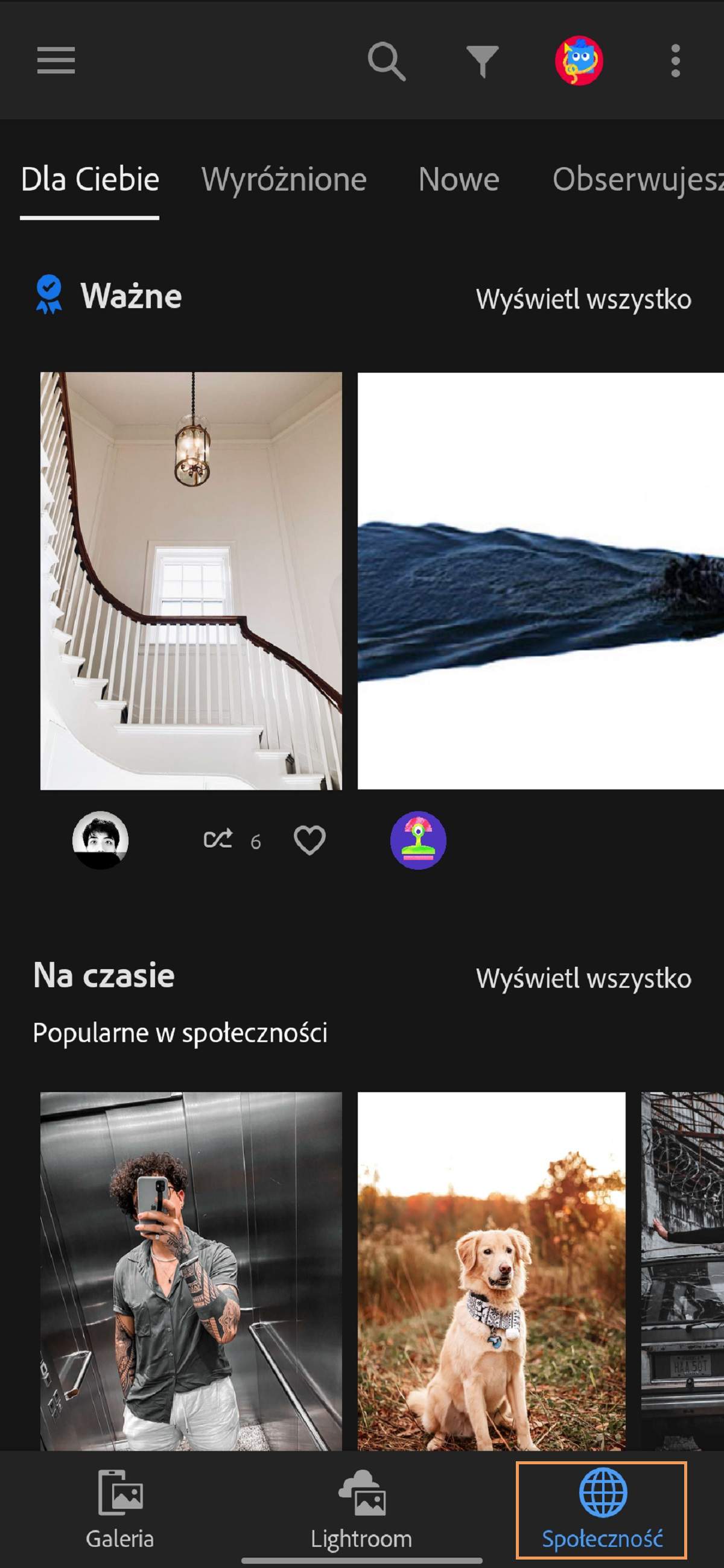 Karta Społeczność w aplikacji Lightroom pozwala na udostępnianie zdjęć społeczności