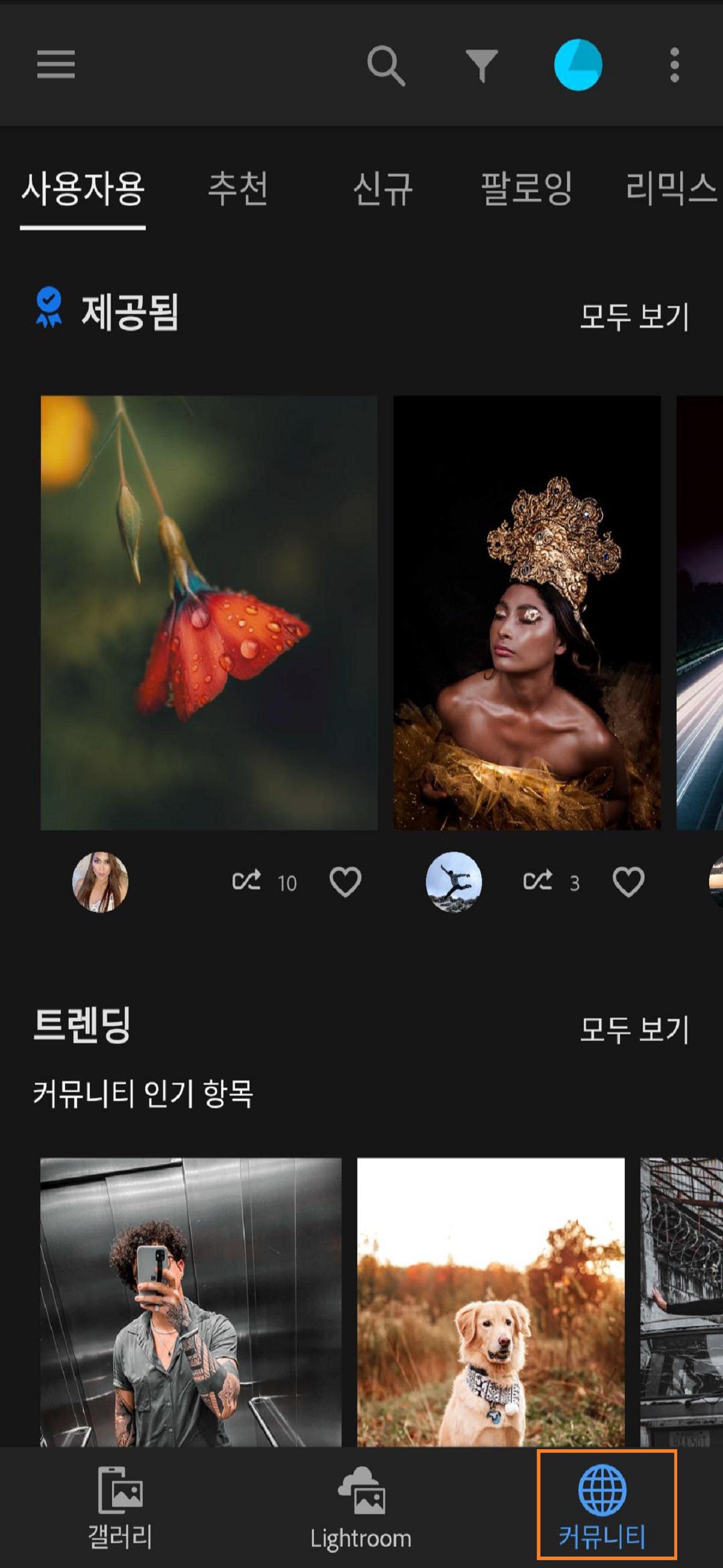 Lightroom의 커뮤니티 탭을 사용하면 사진을 커뮤니티에 공유할 수 있습니다.