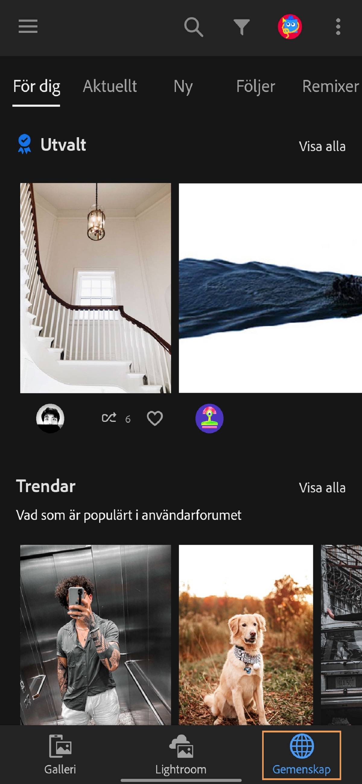 På fliken Användarforum i Lightroom kan du dela dina foton i användarforumet