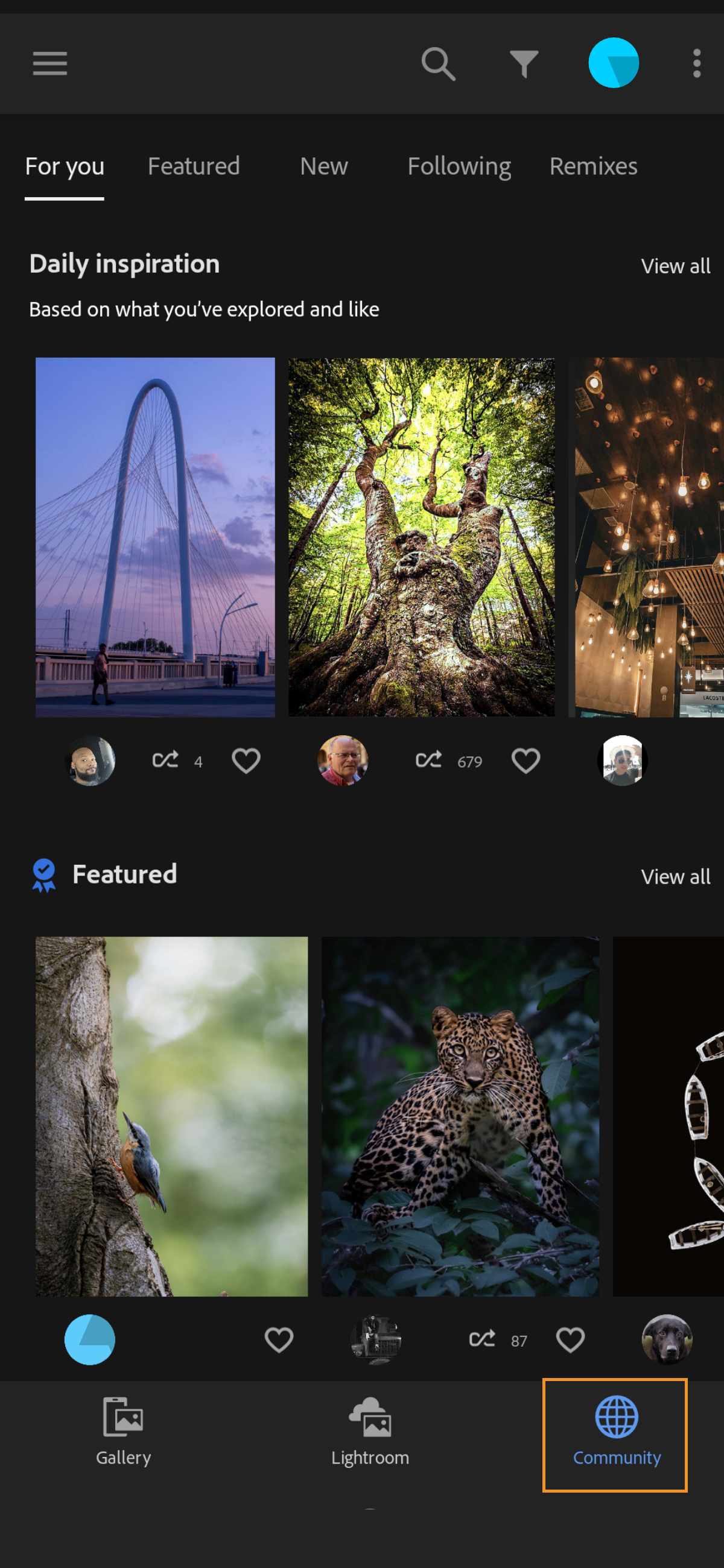 Community tab in Lightroom lets you share your photos to community