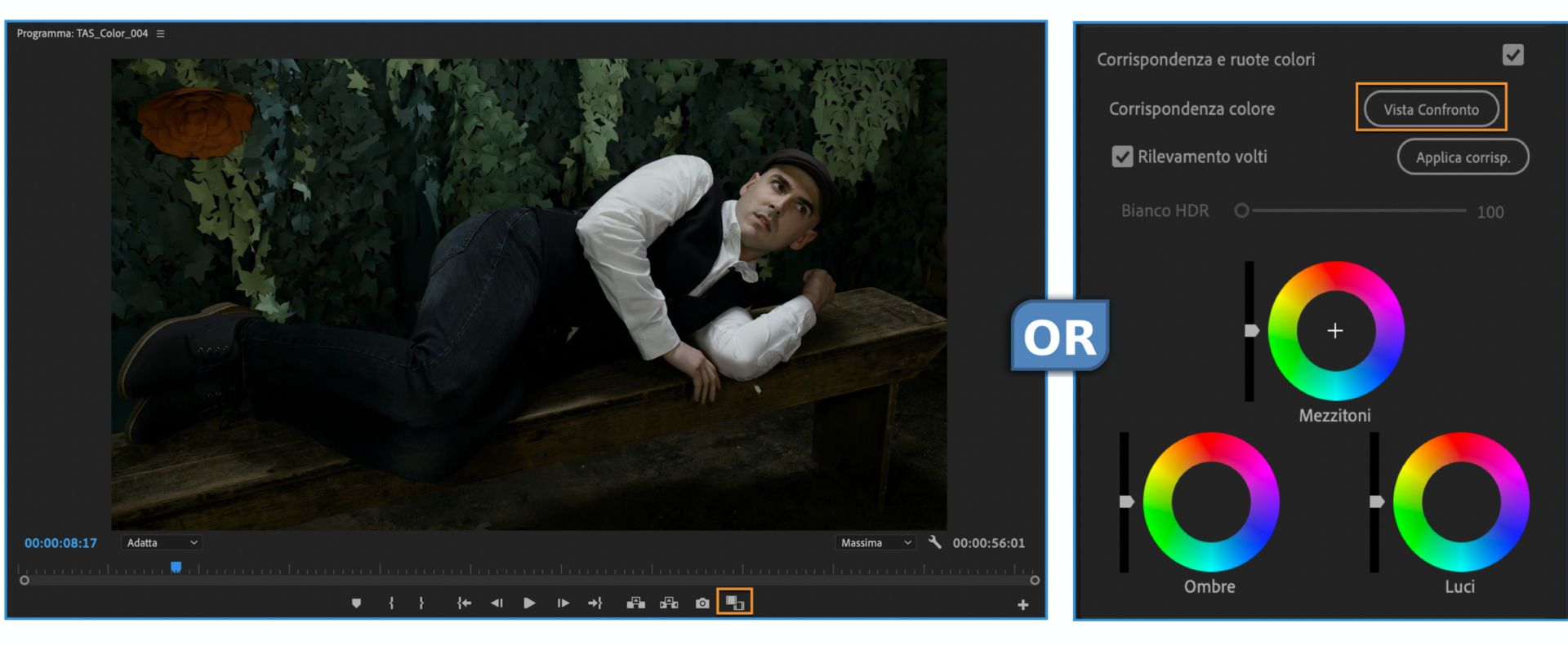 Passaggio alla vista Confronto