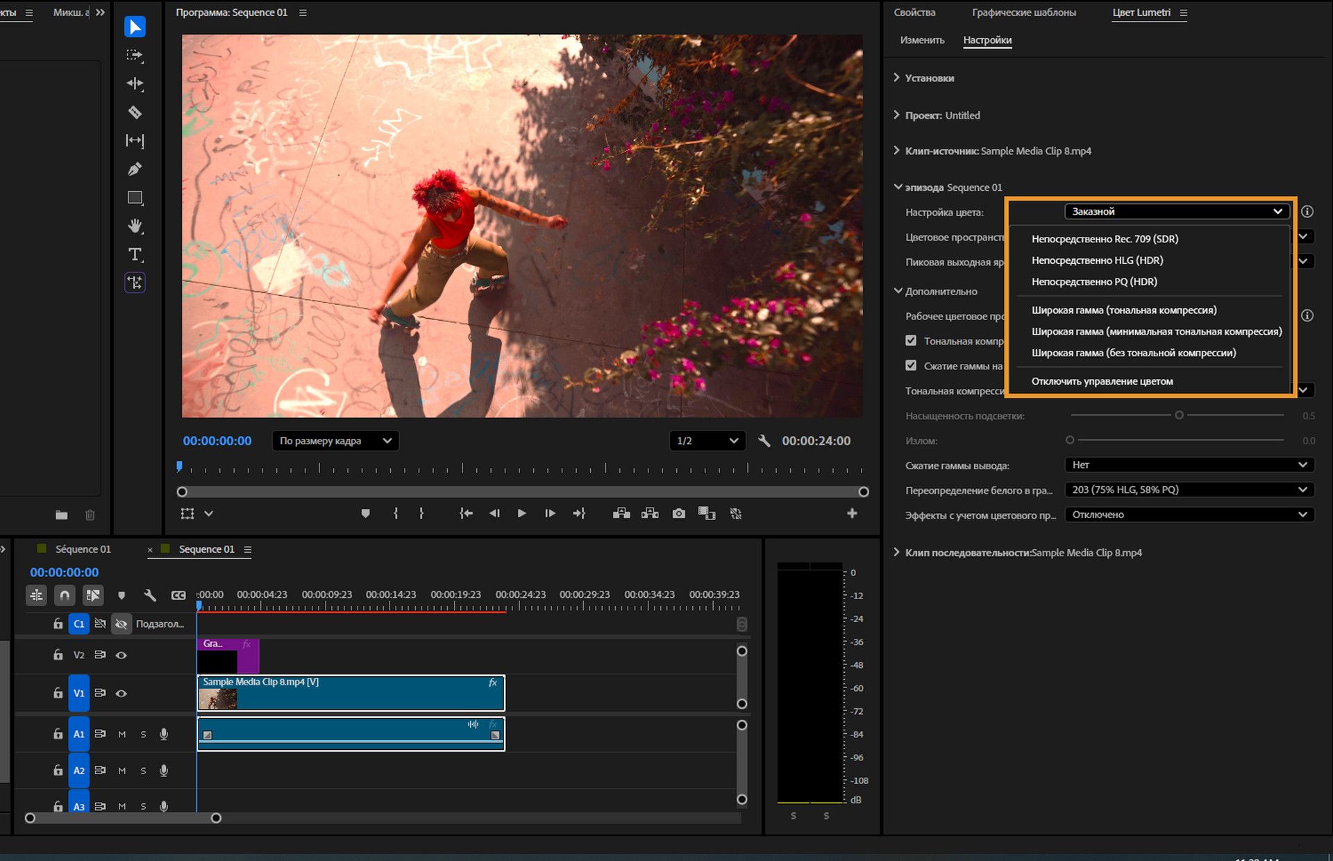 Развернутое меню настройки цвета в диалоговом окне «Настройки последовательности», показывающее параметры, включая «Отключить управление цветом».