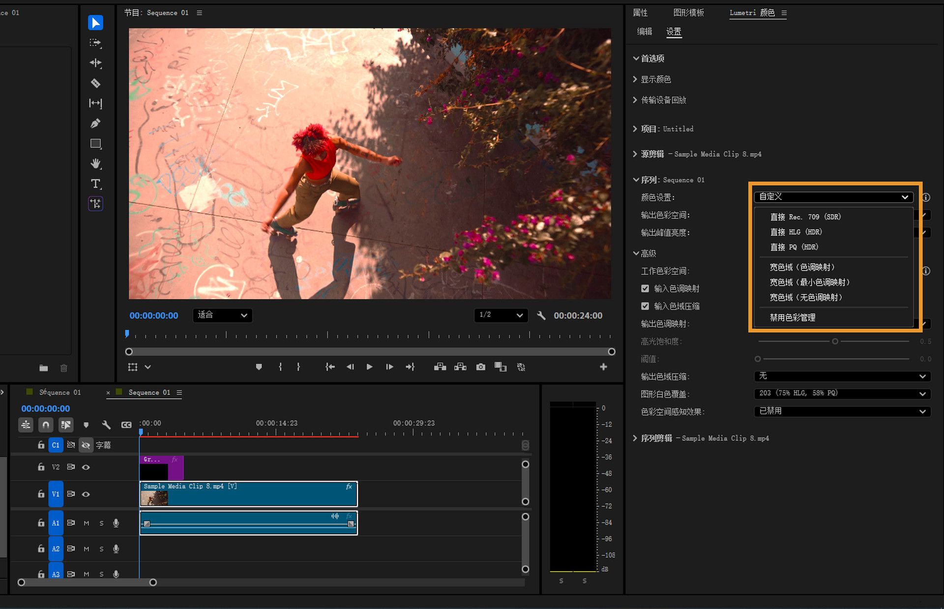序列设置对话框中展开的颜色设置菜单，显示包括禁用色彩管理在内的选项。