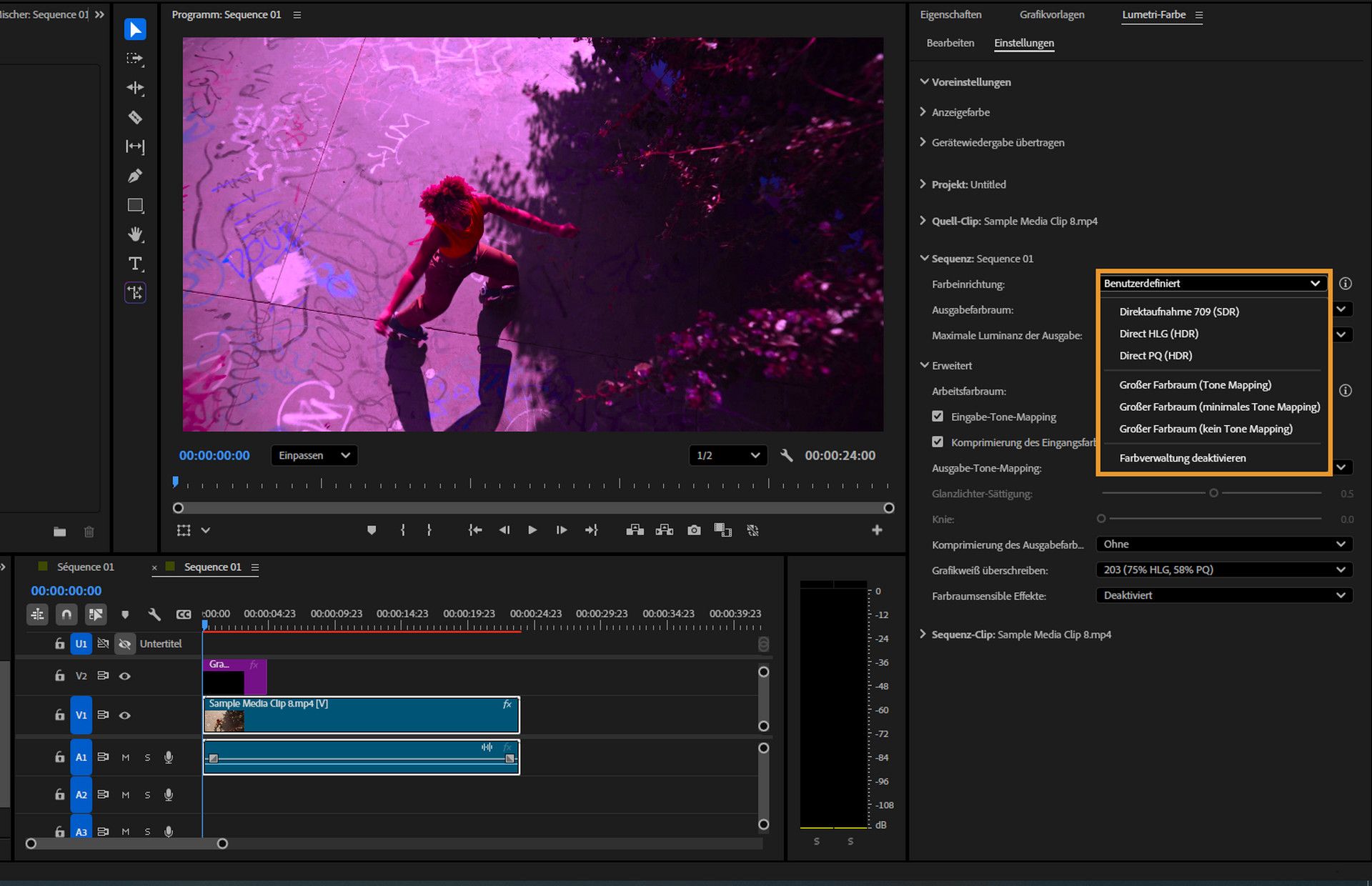 Menü „Farbeinrichtung“ im Dialogfeld „Sequenzeinstellungen“ erweitert, das Optionen einschließlich „Farbmanagement deaktivieren“ zeigt.