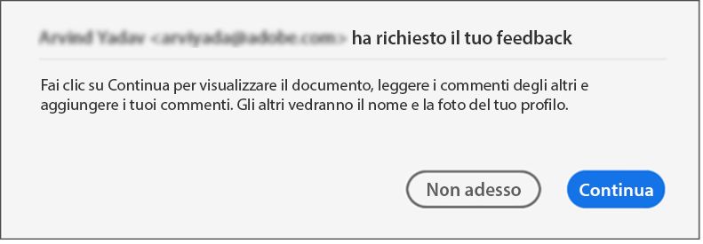 Finestra di dialogo di consenso per file condivisi per la revisione