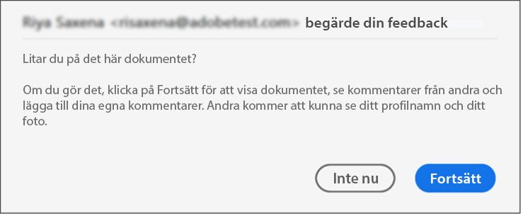 Dialogrutan Samtycke för granskning av filer i skyddad vy
