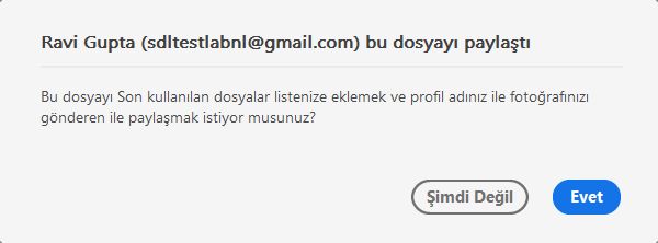 Görüntülenmek üzere paylaşılan dosyalar için onay iletişim kutusu
