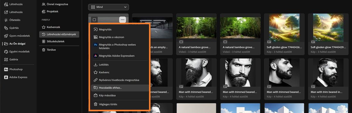 A Létrehozási előzmények lap megjeleníti a fájl helyi menüjét a megnyitás, vásznon való megnyitás, letöltés, megosztás vagy hozzáadás lehetőségeivel.